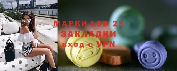 бошки Ельня