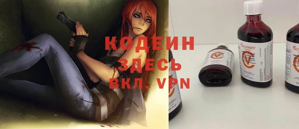 дмт Елизово