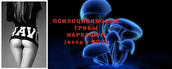 прущие крисы Елабуга