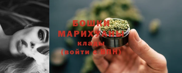 бошки Ельня