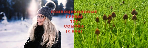 дмт Елизово