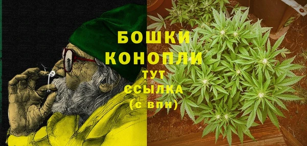 дмт Елизово